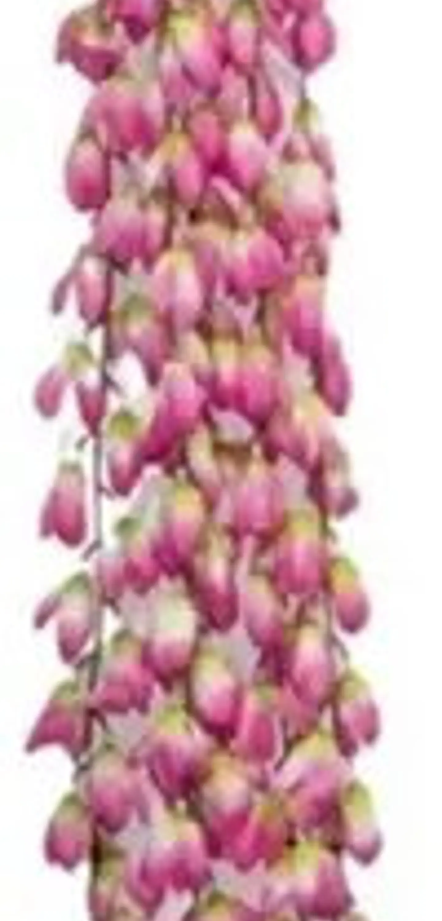 Enredadera Flor 1 Helecho 122 Cm Hoja Mata Rosas A121-53 3