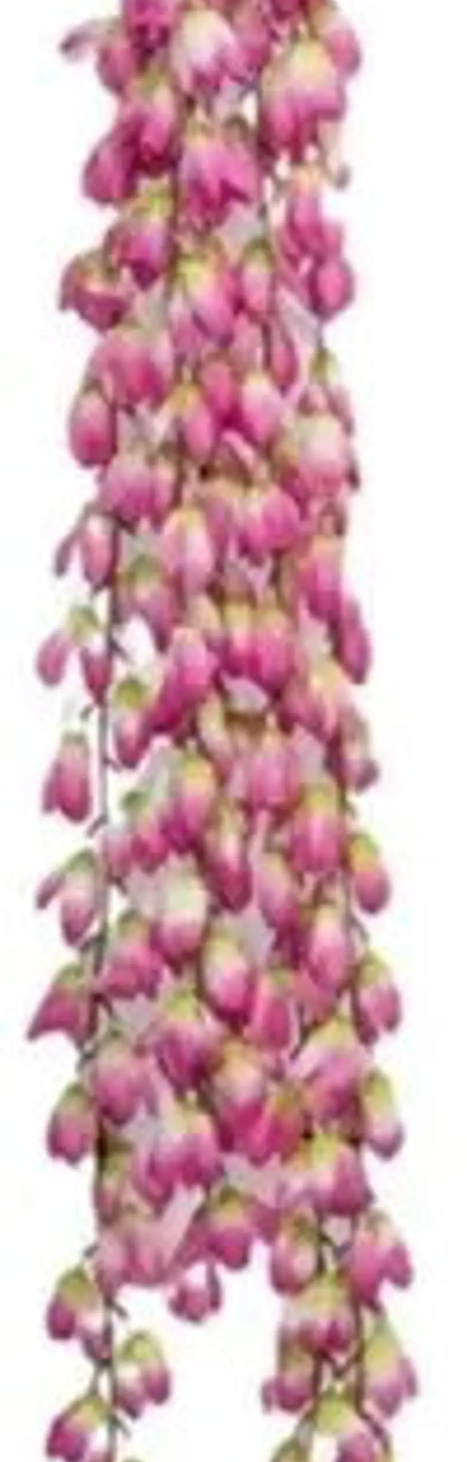 Enredadera Flor 1 Helecho 122 Cm Hoja Mata Rosas A121-53 3