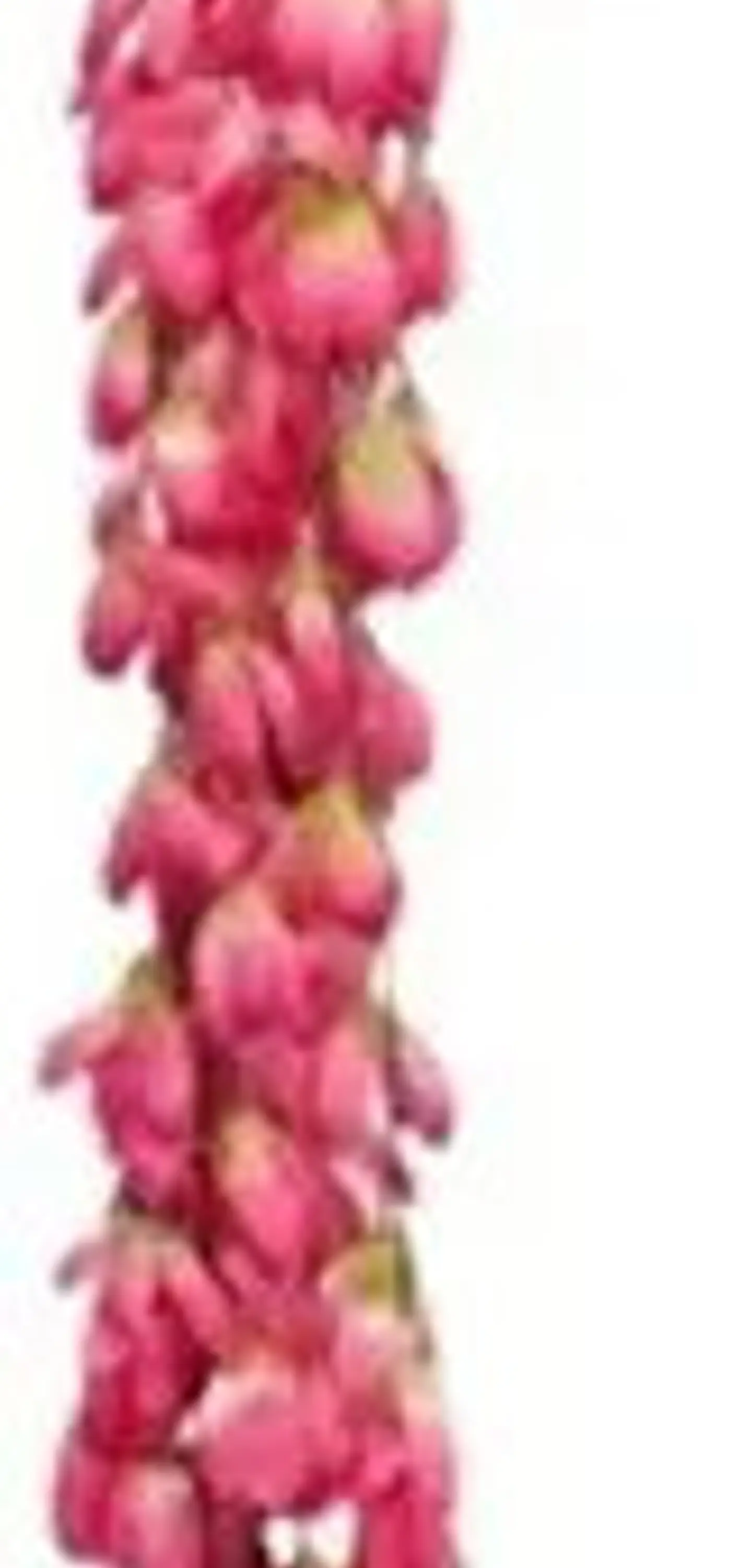 Enredadera Flor 1 Helecho 122 Cm Hoja Mata Rosas A121-53 4