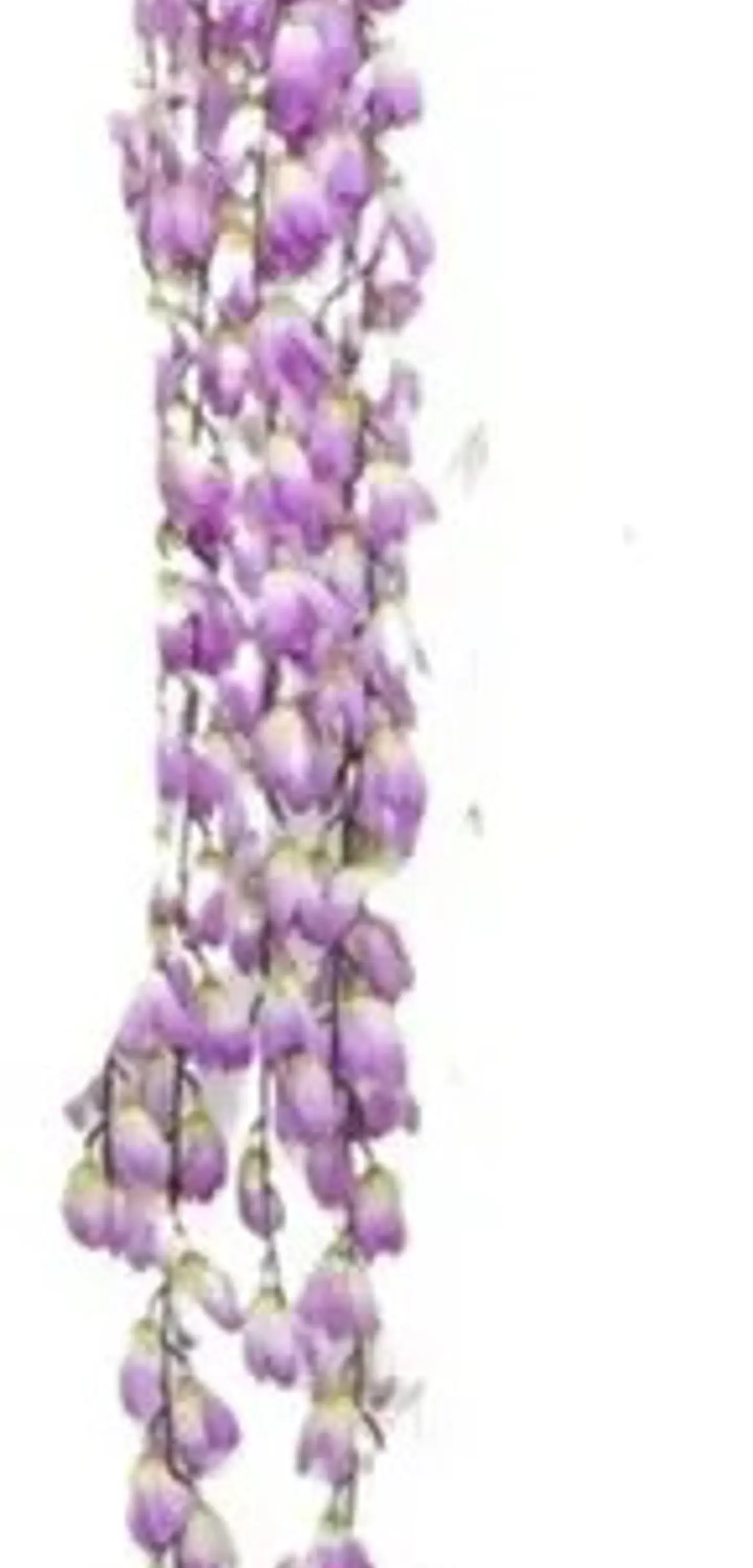 Enredadera Flor 1 Helecho 122 Cm Hoja Mata Rosas A121-53 5
