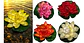 Flor Loto Espuma Flotante Artificial Foami A121-118 Decoraci - Miniatura 2