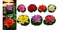 Flor Loto Espuma Flotante Artificial Foami A121-118 Decoraci - Miniatura 3