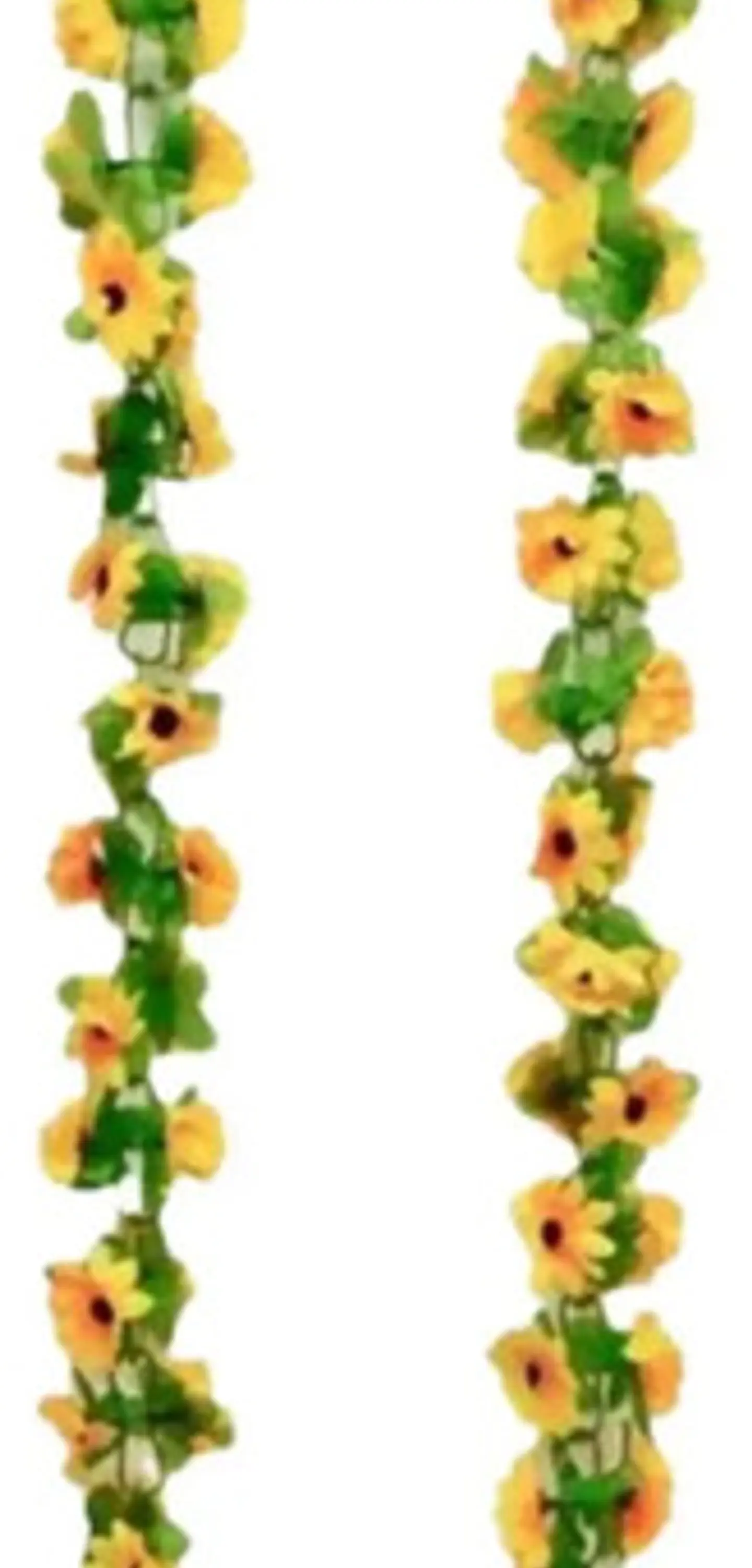 Enredadera Girasol 1 Paquete 200cm Mata Flores Rosas A121-86 1