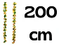Enredadera Girasol 1 Paquete 200cm Mata Flores Rosas A121-86 - Miniatura 2