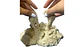 Arenero Animales Accesorios juguete Arena Artificial Moldes - Miniatura 6