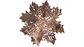 Individuales Forma Flor Comedor Juego X6u Utensilios Cocina - Miniatura 1