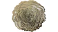 Individuales Comedor Forma Flor Juego X6Und Utensilio Cocina - Miniatura 5
