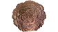 Individuales Comedor Forma Flor Juego X6Und Utensilio Cocina - Miniatura 6