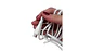 Cargador 30W con doble cable USB Micro y Tipo C rapido ideal - Miniatura 4