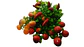 Rama Decorativa Artificial con Frutas - Miniatura 4