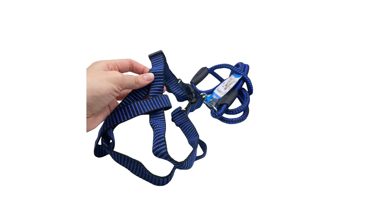 Set Correa y Arnés para Mascota 120 cm Resistente Colores 5