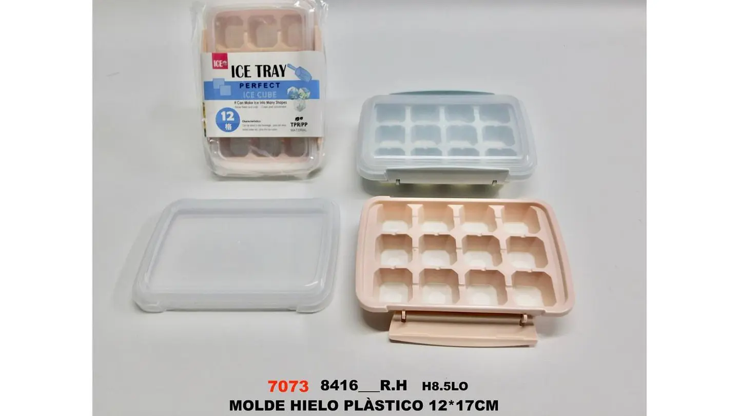 Molde Hielo Plástico 13 Espacios con Tapa Hermética Práctico 8