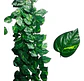 Enredadera 1 Paquete X 12und De240 Cm Hoja Mata Miami - Miniatura 1