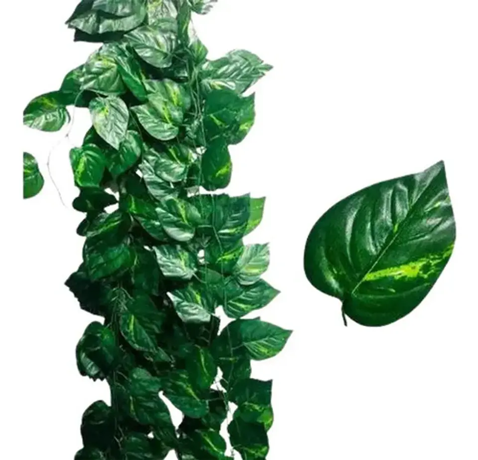 Enredadera 1 Paquete X 12und De240 Cm Hoja Mata Miami 1