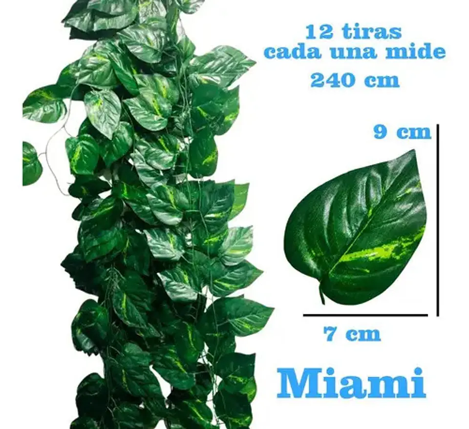 Enredadera 1 Paquete X 12und De240 Cm Hoja Mata Miami 2