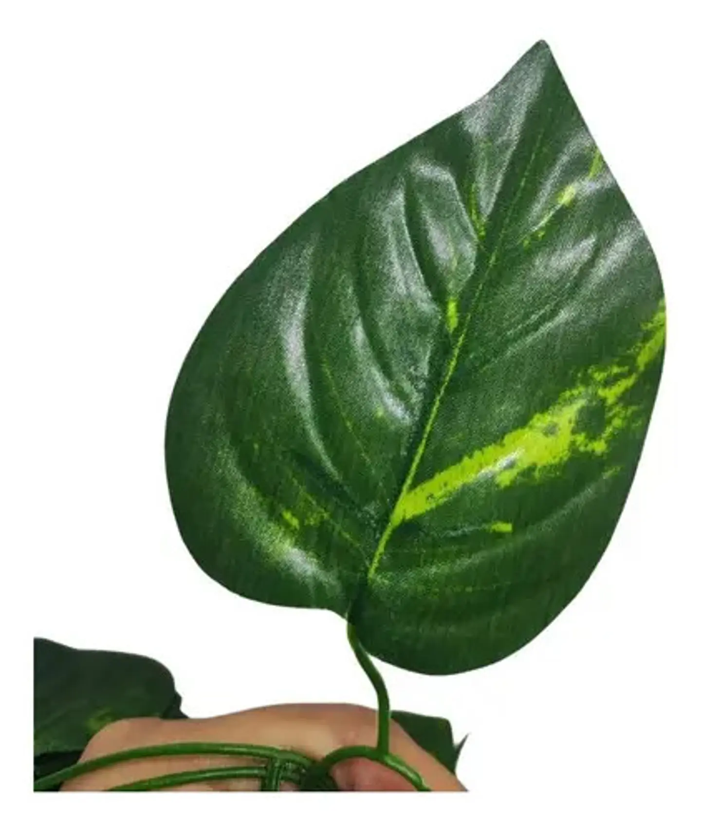 Enredadera 1 Paquete X 12und De240 Cm Hoja Mata Miami 3