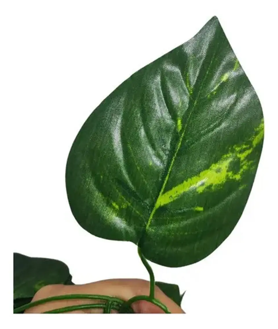 Enredadera 1 Paquete X 12und De240 Cm Hoja Mata Miami 3