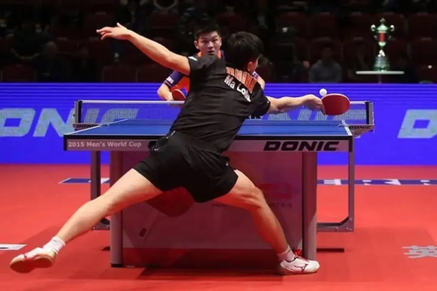 Kit Malla Adaptable + Ping Pong Raquetas Deporte Raqueta Red 8