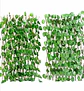 Enredadera Maya Cerca Jardín Expandible 2 Metros 70 Cm  - Miniatura 1