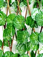 Enredadera Maya Cerca Jardín Expandible 2 Metros 70 Cm  - Miniatura 3