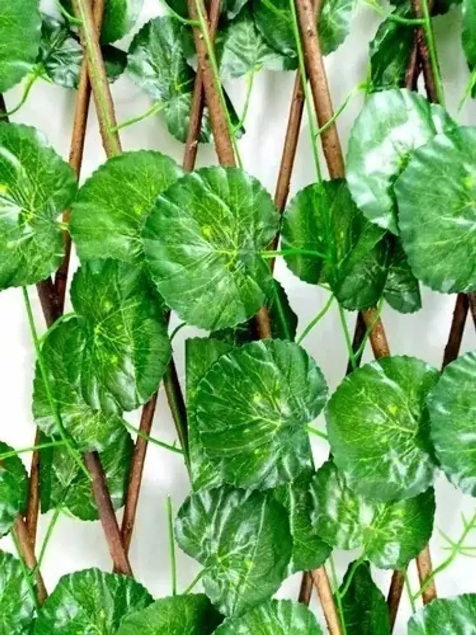 Enredadera Maya Cerca Jardín Expandible 2 Metros 70 Cm  3