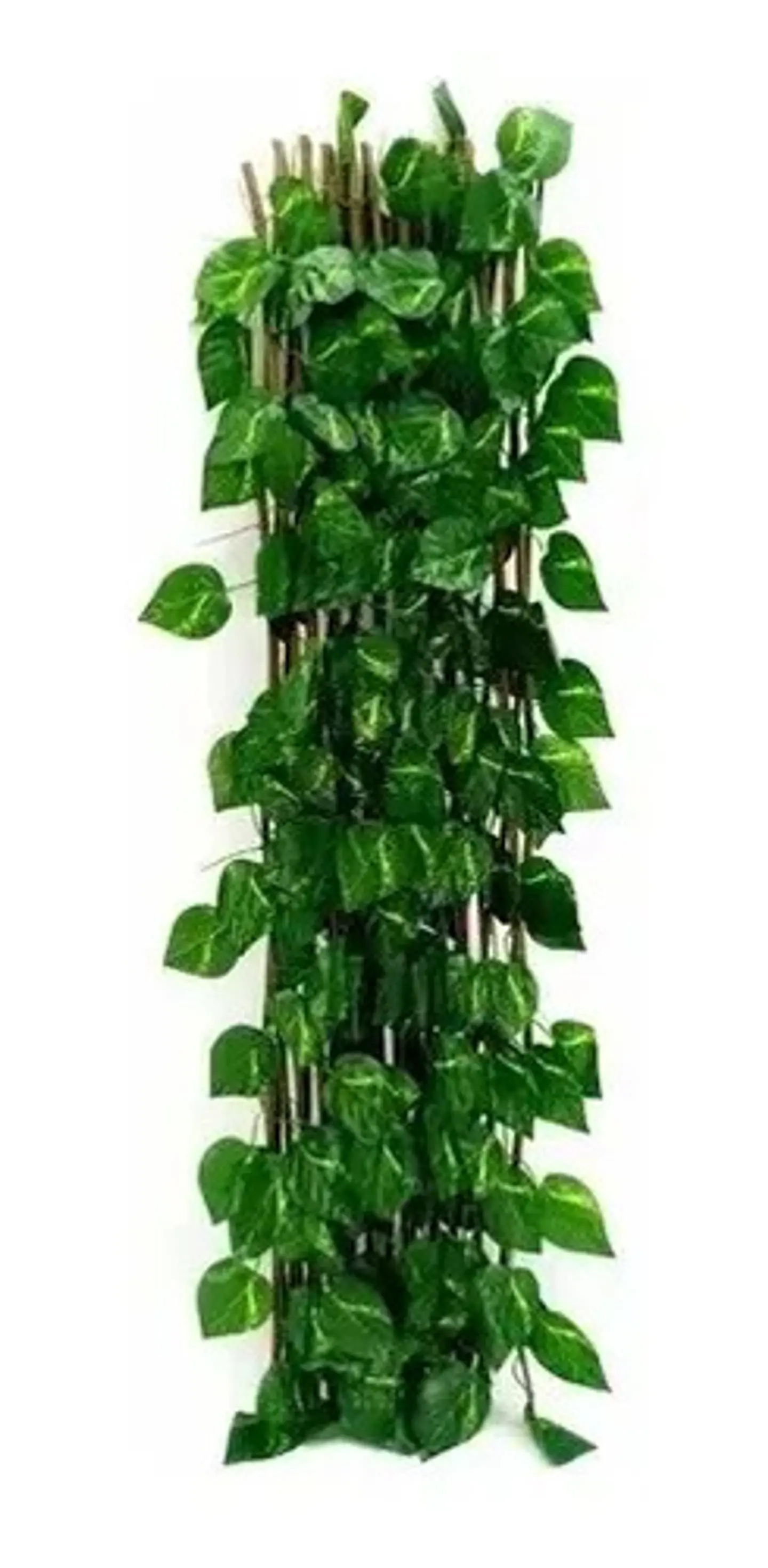 Enredadera Maya Cerca Jardín Expandible 2 Metros 70 Cm  4