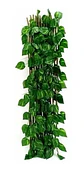 Enredadera Maya Cerca Jardín Expandible 2 Metros 70 Cm  - Miniatura 4