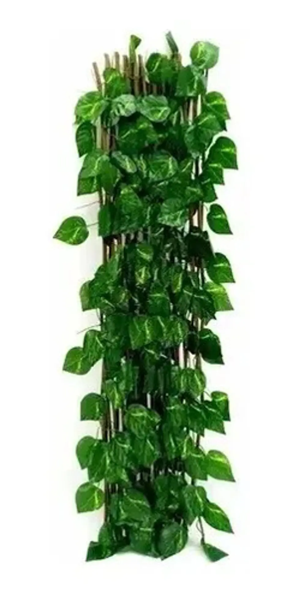 Enredadera Maya Cerca Jardín Expandible 2 Metros 70 Cm  4