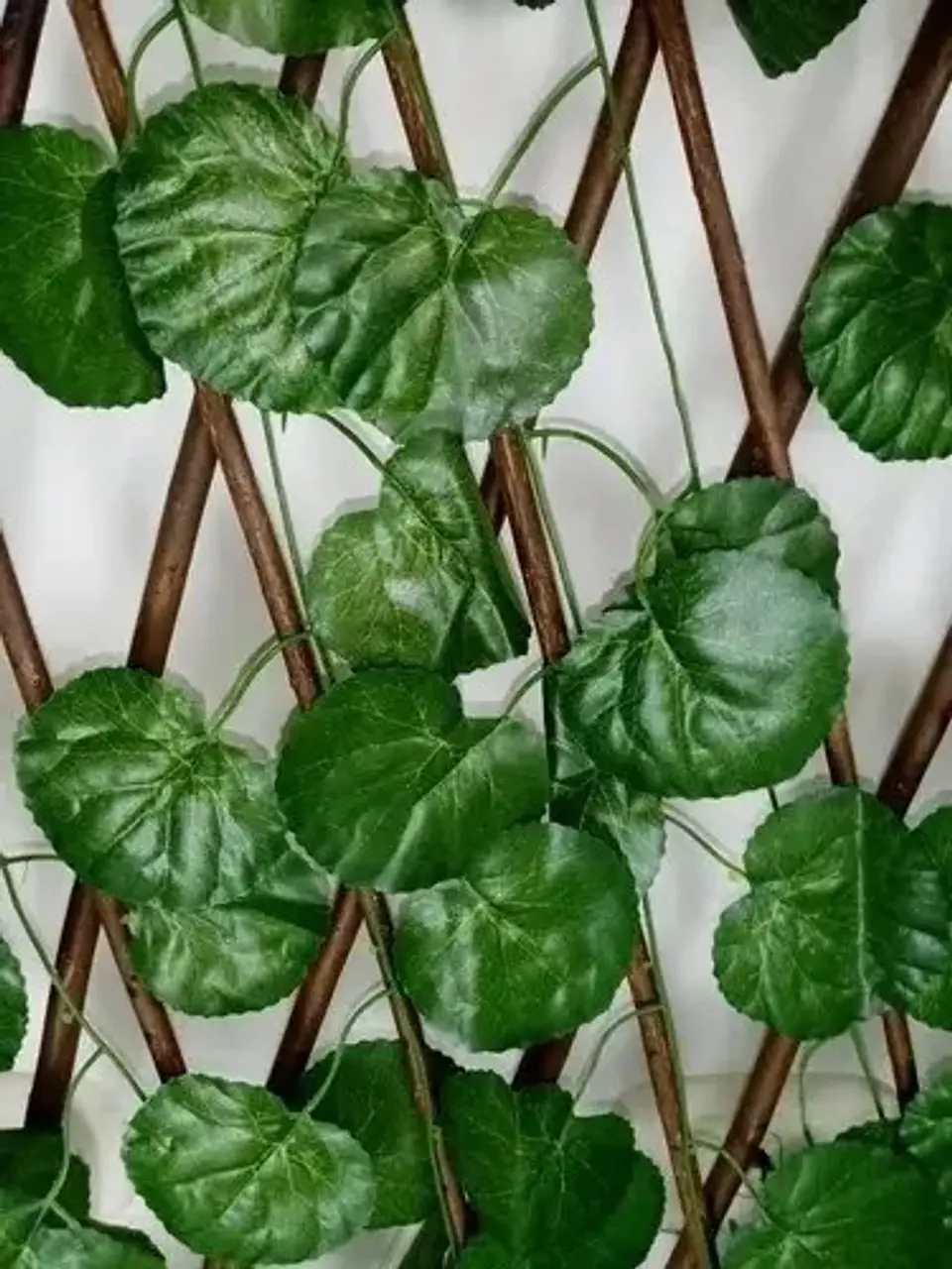 Enredadera Maya Cerca Jardín Expandible 2 Metros 70 Cm  7