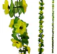 Matas Flores Regadera Decoración 237cm   B.o Ref 170-136  - Miniatura 6