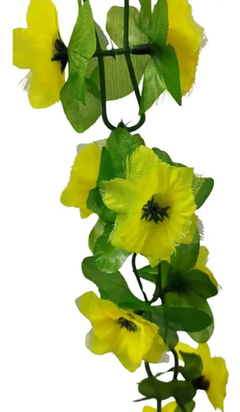 Matas Flores Regadera Decoración 237cm   B.o Ref 170-136  8