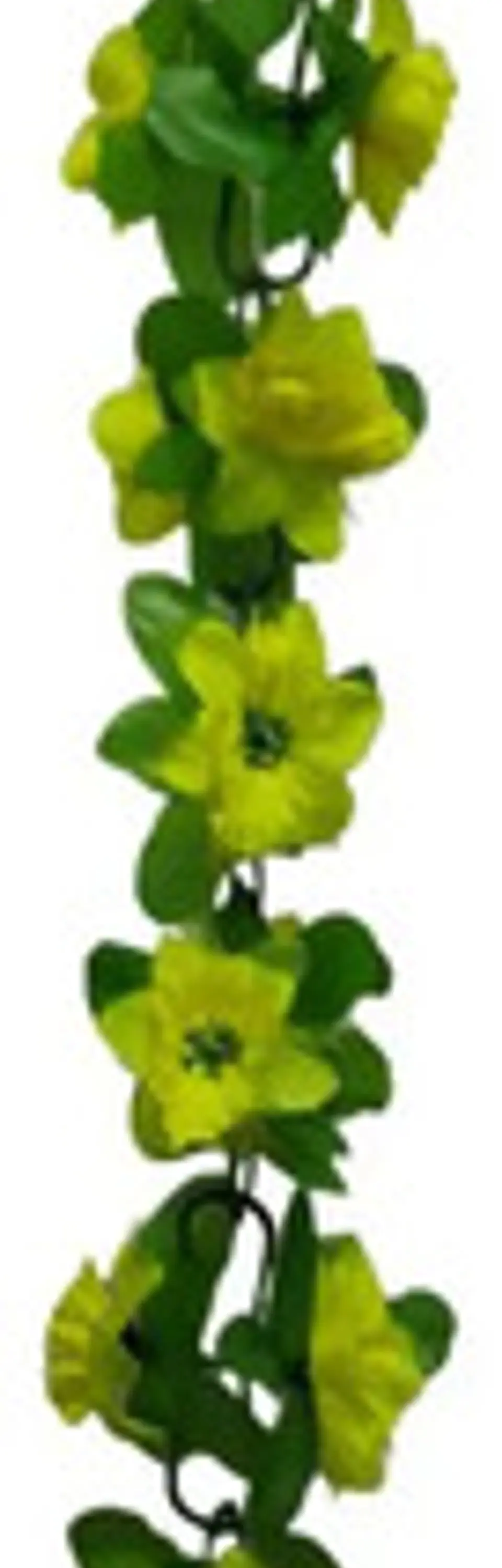Matas Flores Regadera Decoración 237cm   B.o Ref 170-136  9