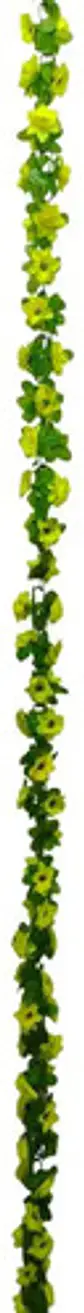 Matas Flores Regadera Decoración 237cm   B.o Ref 170-136  - Miniatura 10