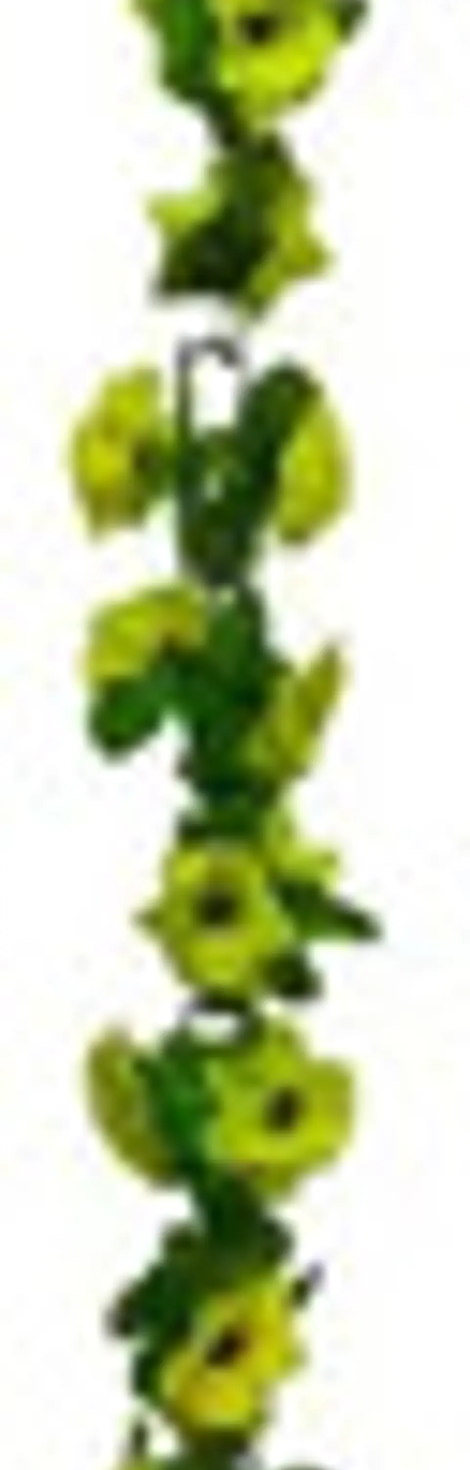 Matas Flores Regadera Decoración 237cm   B.o Ref 170-136  10