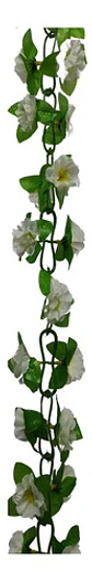 Matas Flores Regadera Decoración 237cm   B.o Ref 170-136  - Miniatura 12