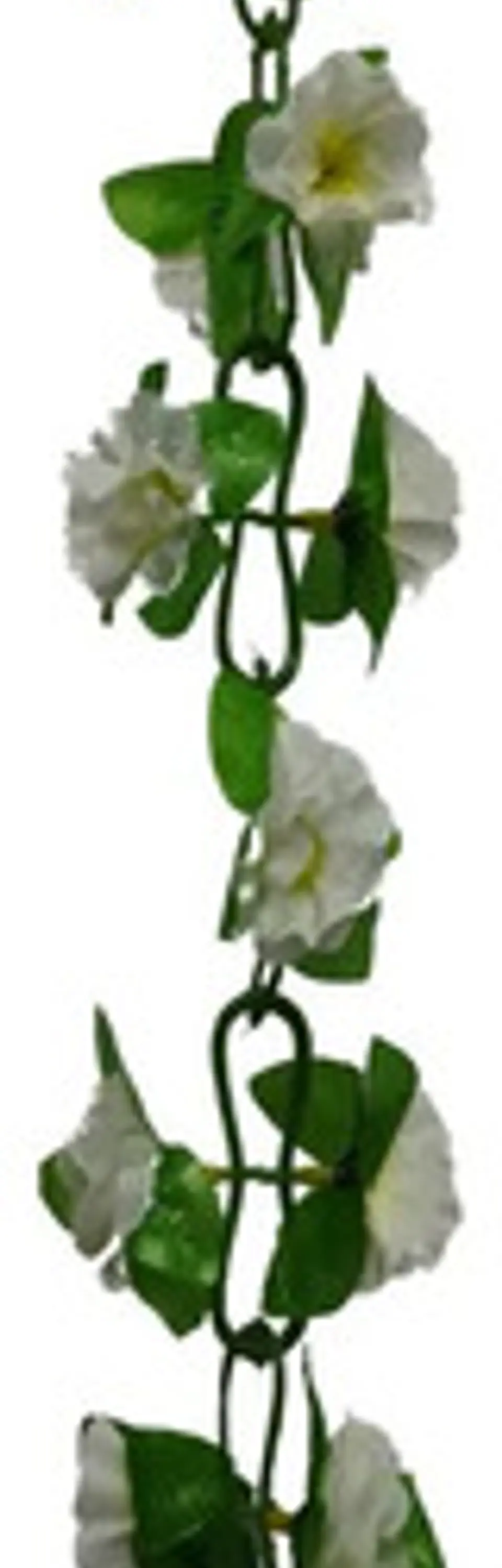 Matas Flores Regadera Decoración 237cm   B.o Ref 170-136  12
