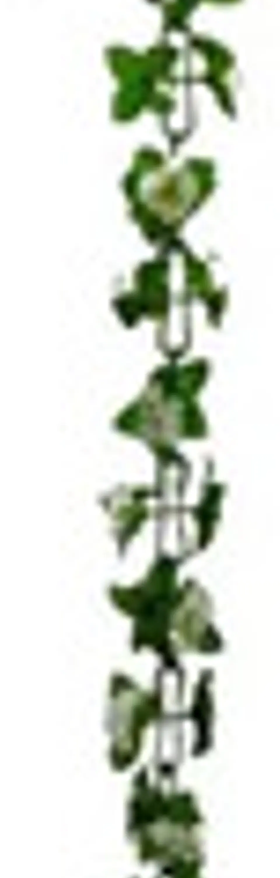 Matas Flores Regadera Decoración 237cm   B.o Ref 170-136  13