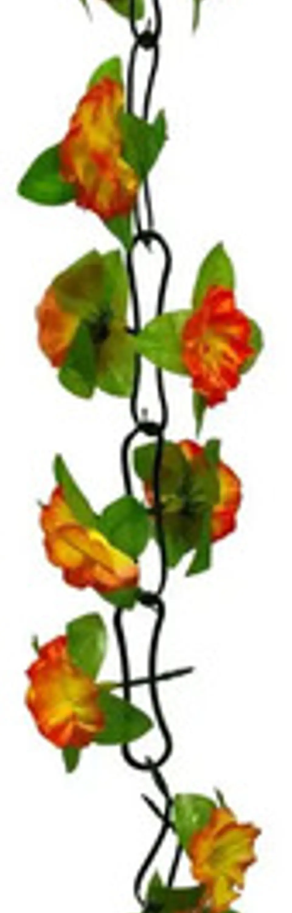 Matas Flores Regadera Decoración 237cm   B.o Ref 170-136  16