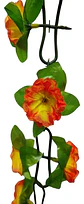 Matas Flores Regadera Decoración 237cm   B.o Ref 170-136  - Miniatura 18