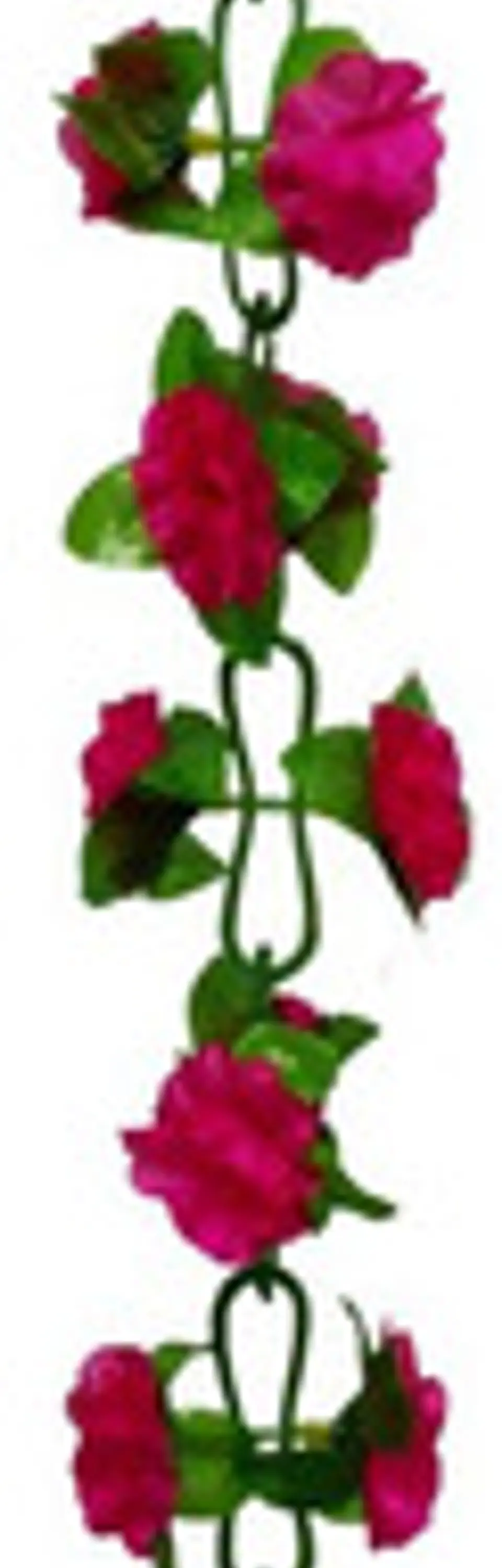 Matas Flores Regadera Decoración 237cm   B.o Ref 170-136  21