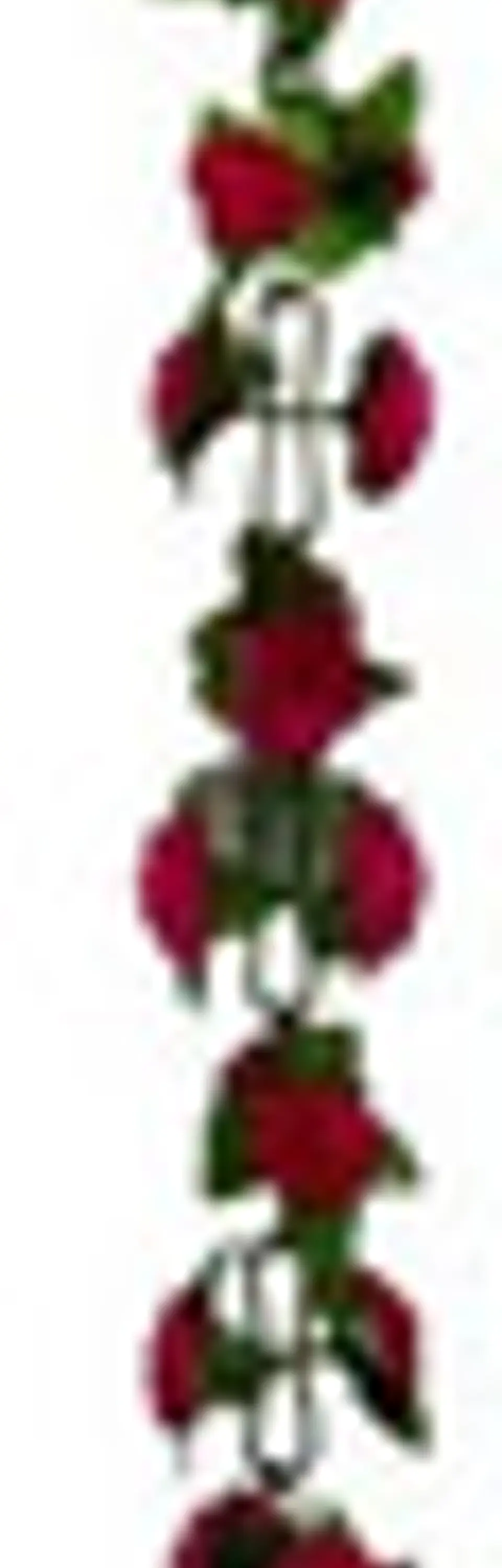 Matas Flores Regadera Decoración 237cm   B.o Ref 170-136  22