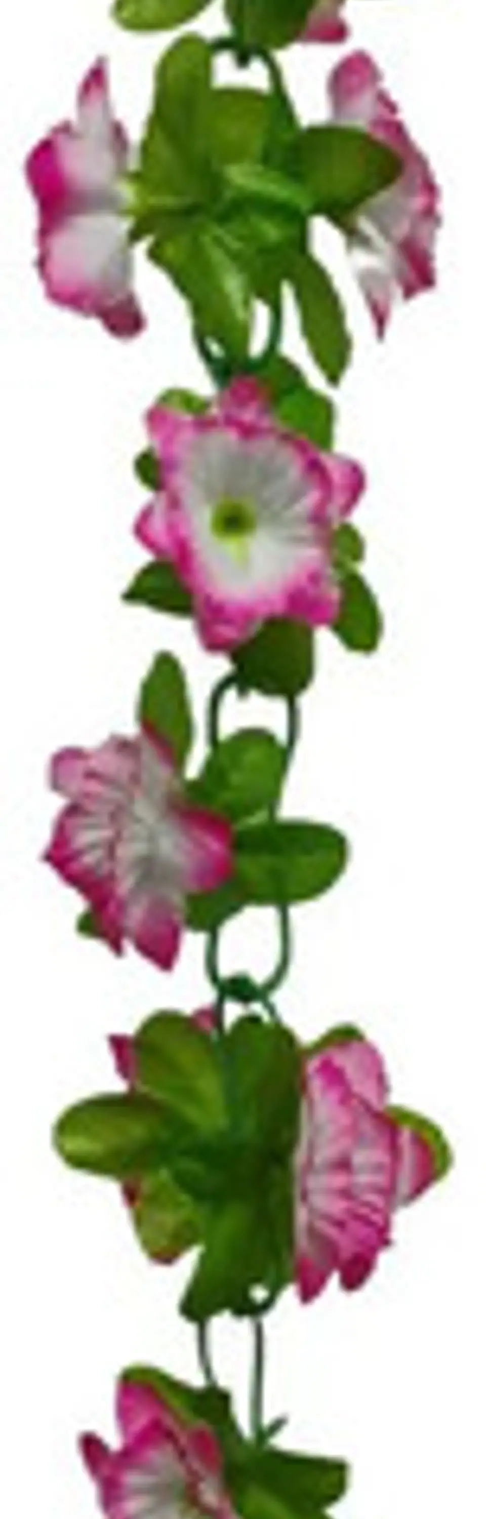Matas Flores Regadera Decoración 237cm   B.o Ref 170-136  24