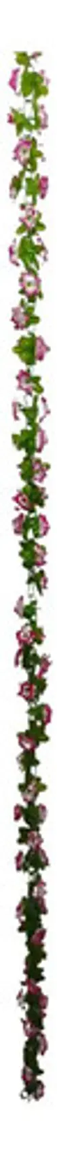 Matas Flores Regadera Decoración 237cm   B.o Ref 170-136  - Miniatura 25