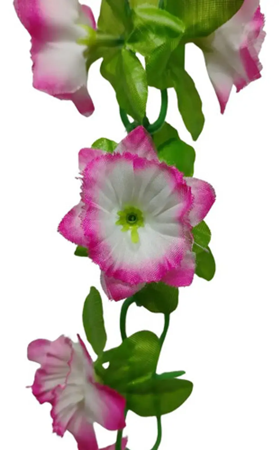 Matas Flores Regadera Decoración 237cm   B.o Ref 170-136  26