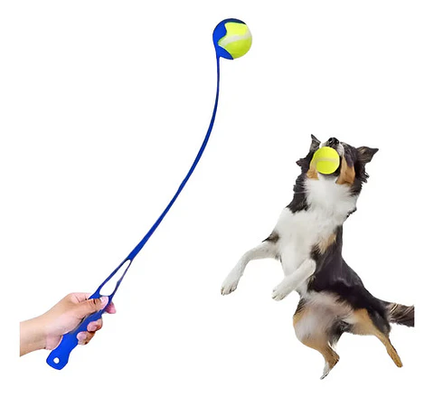 Juguetes Mascotas Lanzador Pelotas Plástico Incluye Pelota