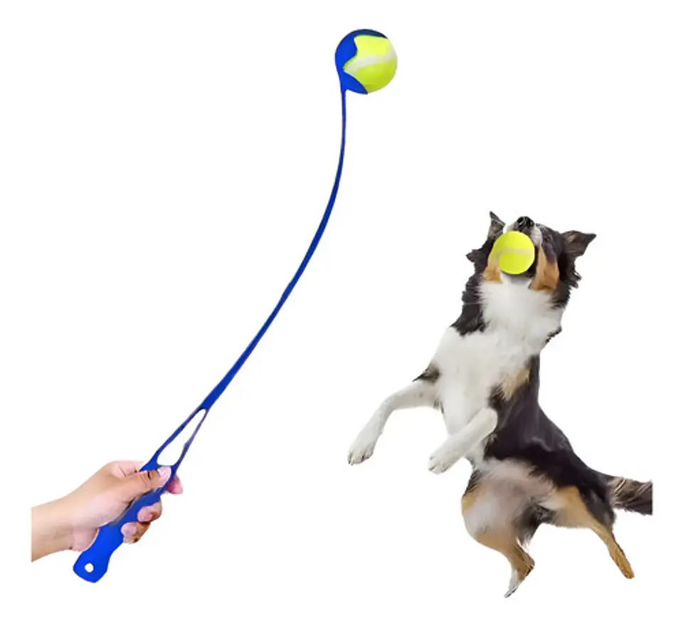 Juguetes Mascotas Lanzador Pelotas Plástico Incluye Pelota 1