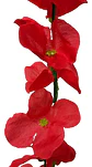 Enredadera 1 Paquete 210cm Hoja Mata Flores Rosas  - Miniatura 4
