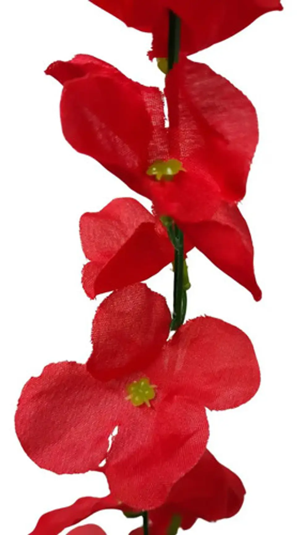 Enredadera 1 Paquete 210cm Hoja Mata Flores Rosas  6
