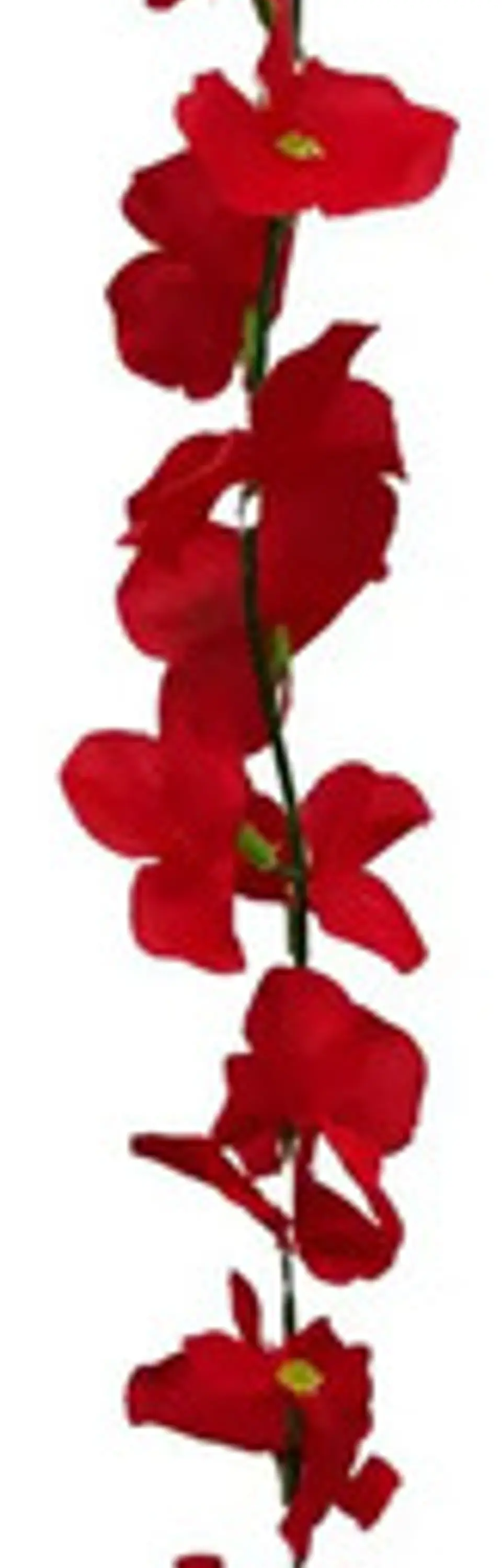 Enredadera 1 Paquete 210cm Hoja Mata Flores Rosas  7