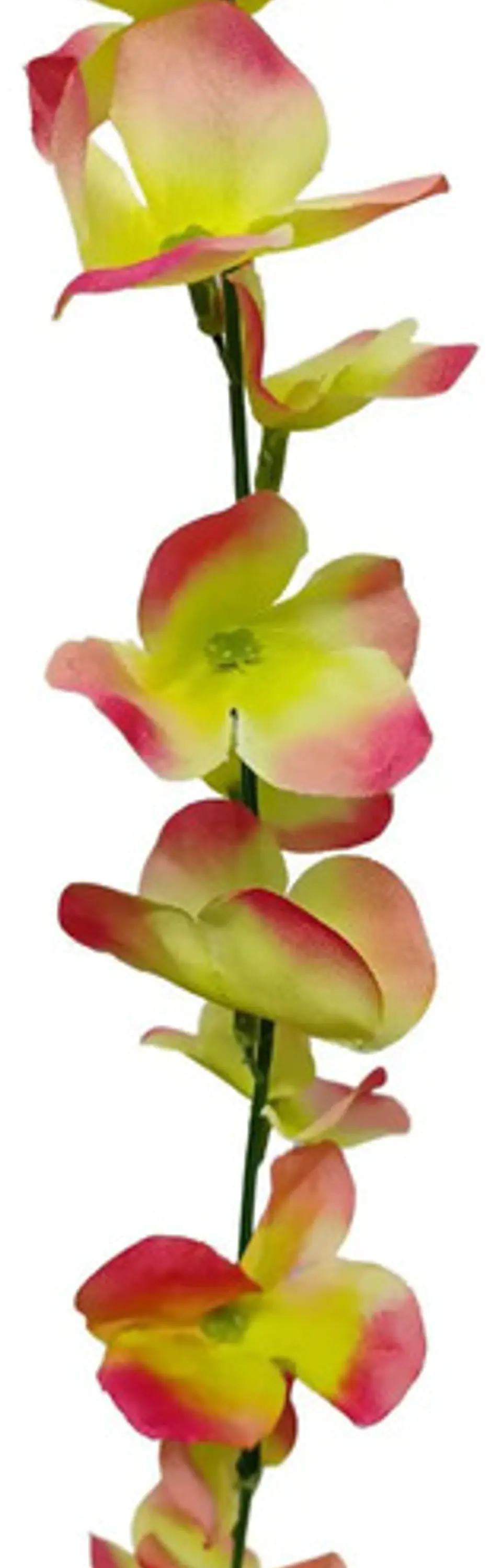 Enredadera 1 Paquete 210cm Hoja Mata Flores Rosas  9